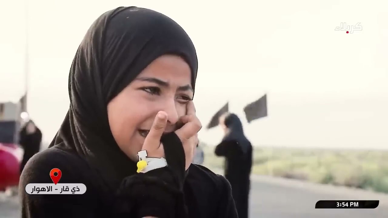 اول مقطع للطفلة نرجس الطفلة نرجس تبكي تتمنى زيارة السيد زينب عليها السلام