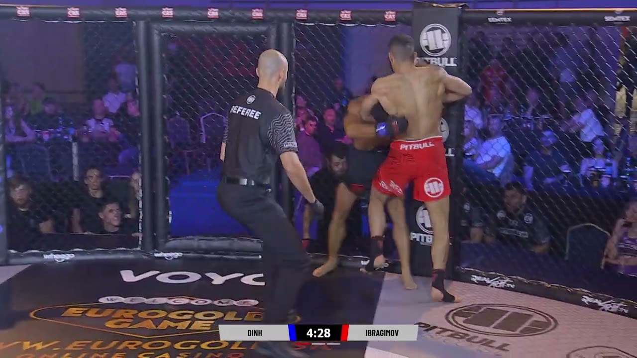 Dinh VS Ibragimov | RFA 11 | Highlights