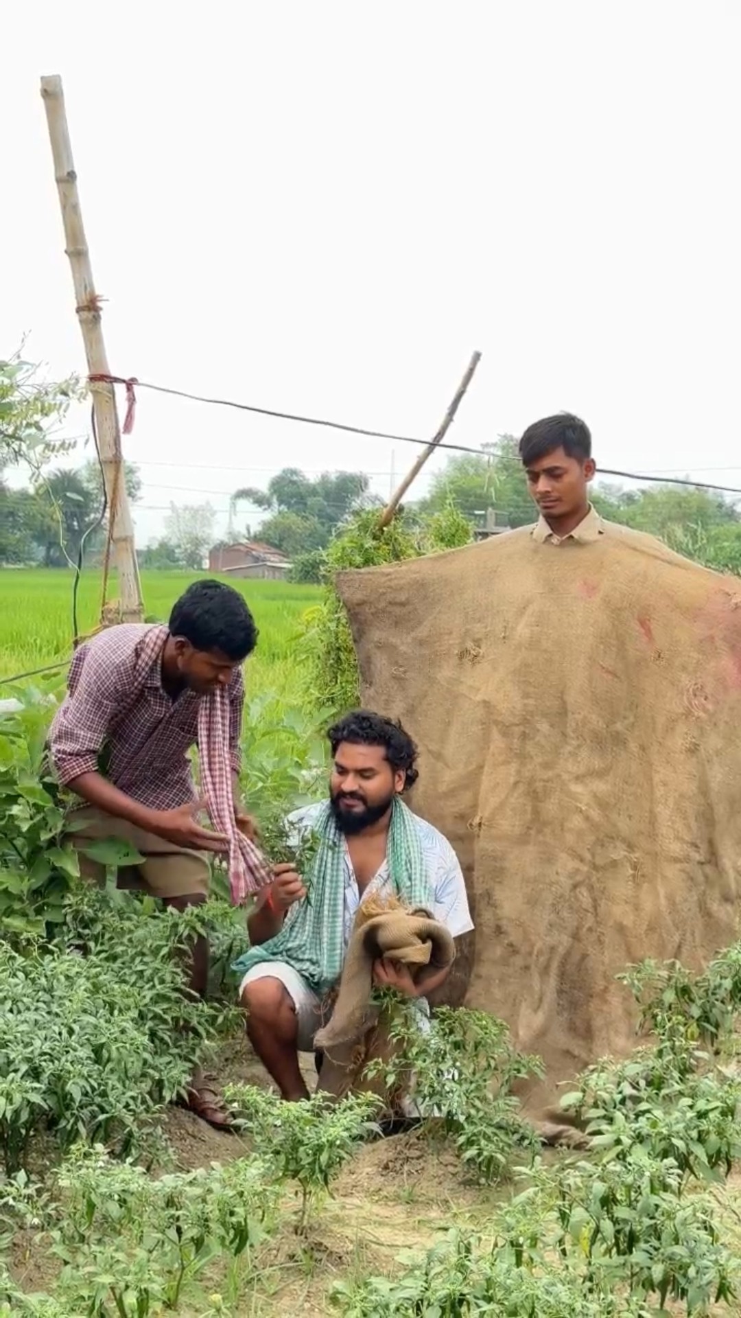 Sabji chor ( part 3 )~??️??#shorts #emotional #motivation #pushpanjalimaurya