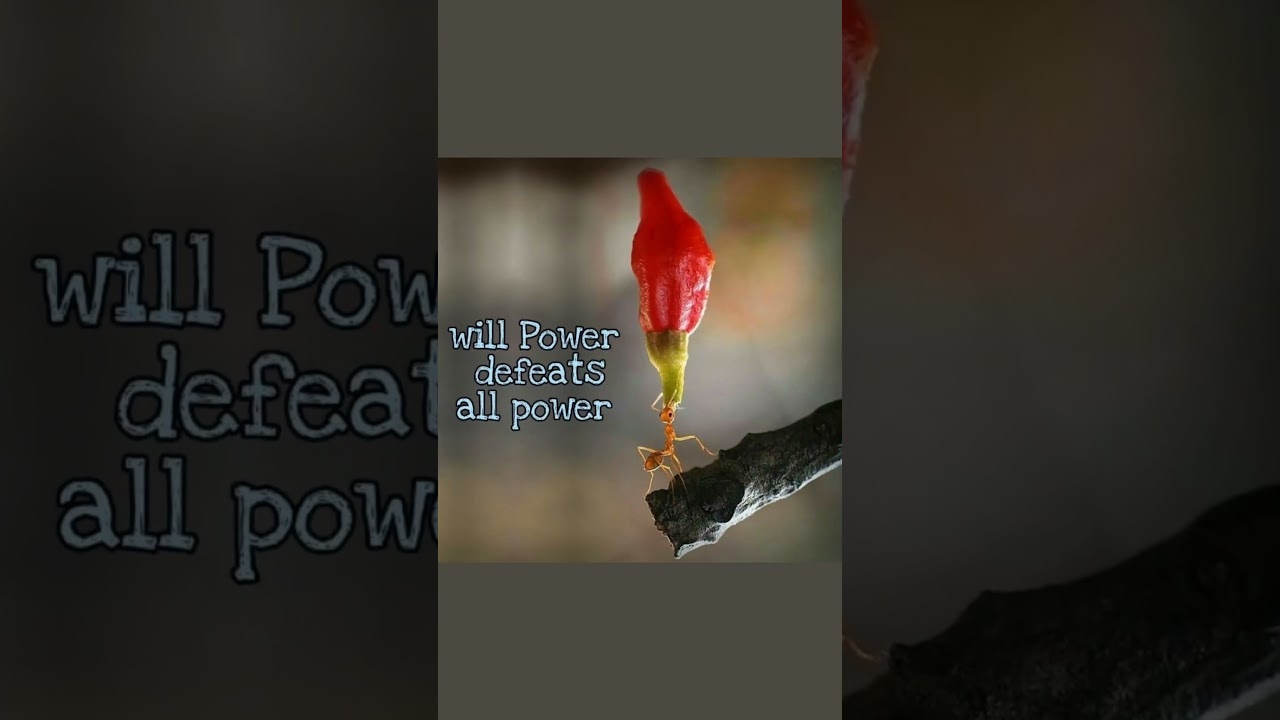 Train Your Mindset Like a Winner 🧠 🔥 | Daily Motivation Short