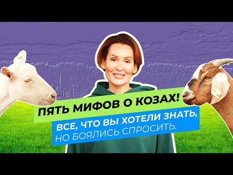 ПЯТЬ МИФОВ О КОЗАХ! ВСЕ, ЧТО ВЫ ХОТЕЛИ ЗНАТЬ, НО БОЯЛИСЬ СПРОСИТЬ.