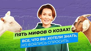 ПЯТЬ МИФОВ О КОЗАХ! ВСЕ, ЧТО ВЫ ХОТЕЛИ ЗНАТЬ, НО БОЯЛИСЬ СПРОСИТЬ.