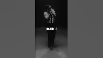 Thumbnail of Achille Lauro - Incoscienti Giovani