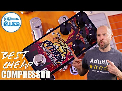 Caline Python Compressor: The Best Affordable Compressor!