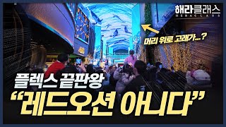 CES 2024 화제 스피어? 인스파이어 리조트 고래쇼? 미디어아트의 모든 것 l 해라클래스