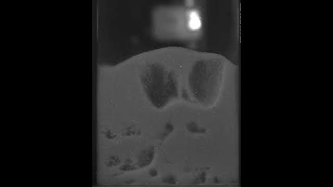 Bubbling fluidization in slow-motion