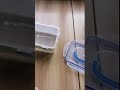 Video Image