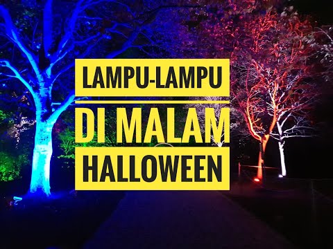 Lampu-lampu indah di malam Halloween |¦Herbstleuchten 2020