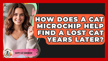 How Does A Cat Microchip Help Find A Lost Cat Years Later? - Happy Cat Handbook