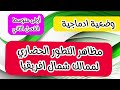 وضعية إدماجية مقترحة بقوة للإختبار الاجتماعيات التاريخ والجغرافيا أولى متوسط الفصل الثاني
