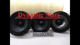видео: Сравнение Dynamic State PM 165.3 165.2 165.1 + прослушка! картинка: Сравнение Dynamic State PM 165.3 165.2 165.1 + прослушка!
