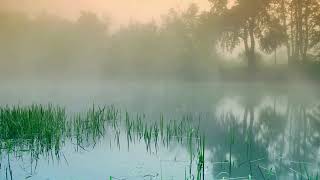Harmonic Serenity || Melodic Bliss for Anxiety Relief with Instrumentals ๐ก๏ธ๐ก๏ธ๐ก๏ธ