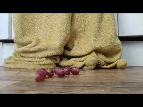 ASMR | Boring day in flat shoes ( Bottle and grape crush )