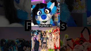 Are furry conventions getting TOO BIG? 🦊 #furry #fursuit #fursuiter