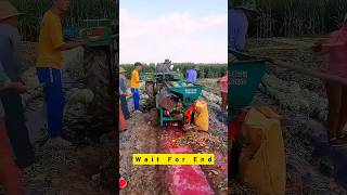 #video Kheti के साथ Double फायदा😱👌Modern Farming Technology🫢👍!#shortsfeed #shorts #agriculture #new