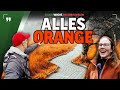 ALIEN-PILZE👽🍄 mitten im Wald | Naturjuwelen II #03