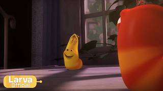 laughable animation compilation larva tuba official