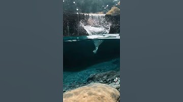 سورة الحشر    Surah Al-Hashr