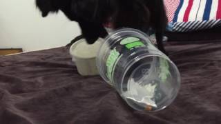 20160613 - Scent game at Home P5