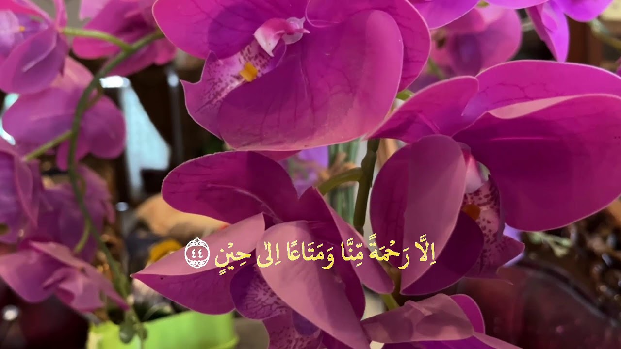 👉 Yosin surasi to‘liq 83 oyat | Yurakni tinchlantiruvchi go‘zal qiroat