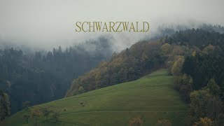 Schwarzwald | BMPCC4K | KODAK 2383