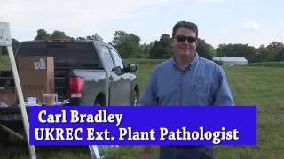 Princeton Wheat Field Day 2016 - UKREC Plant Pathologist Carl Bradley screenshot 4