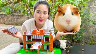 Changcady trổ tài xây nhà cho thú cưng, làm nhà cho chuột lang