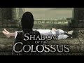 Shadow of the Colossus - A REAL HISTÓRIA
