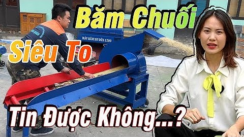 Máy Băm Chuối Công Nghiệp Bình Quân Tiện Lợi Đến Mức Nào ?