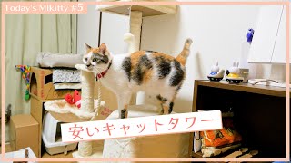 キャットタワーは良く考えて買おう…FEANDREAの猫タワーを購入 / 今日のミキティ#5