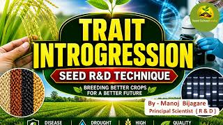 Trait Introgression in Plant Breeding | Seed R&D Technique for Crop Improvement