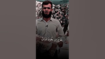 مقطع من سورة النحل ❤️{يخرج من بطونها شراب مختلف ألوانه فيه شفاء للناس...}القارئ رزكار محمد الكردي🎧😴