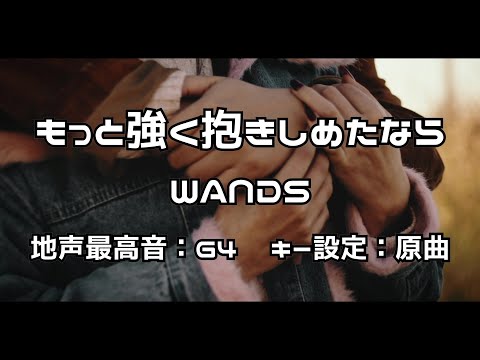 ㊟  偽者 です。 『もっと強く抱きしめたなら』 WANDS 【地声最高音：G4、キー設定：原曲】