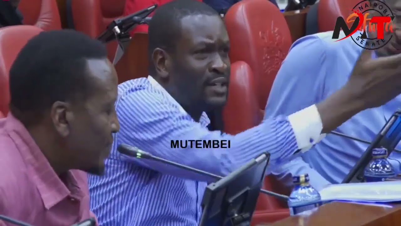 DRAMA AS SIFUNA AND ONYONKA WALK OUT OF SENATE AS SENATORS DENIED SAKAJA TO ANSWER THEIR QUESTIONS!