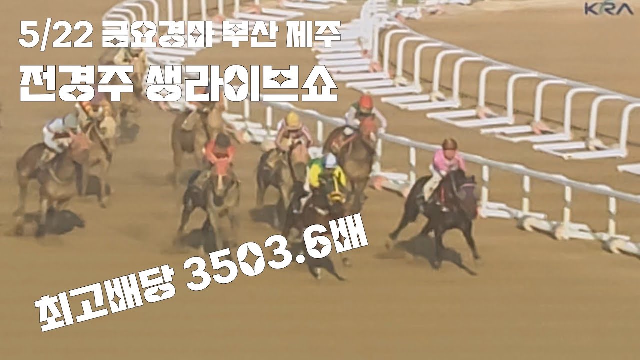 금요경마 부산.제주전경주 생라이브쇼 