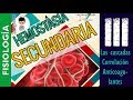 HEMOSTASIA SECUNDARIA,  TEORIA ANTERIOR DE LA COAGULACIÓN, CASCADAS, |FISIOLOGÍA Sanguinea|P3