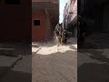 ١٨ مارس ٢٠٢٢