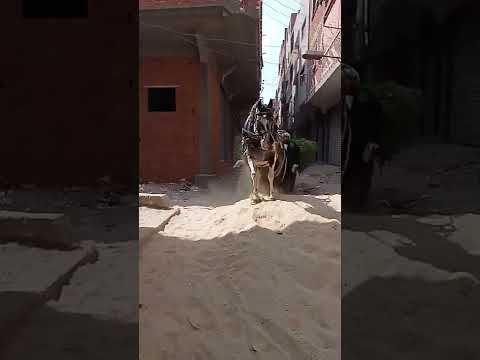 ١٨ مارس ٢٠٢٢ 