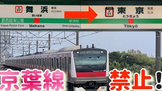 【JR使用禁止‼️】舞浜駅→東京駅まで移動