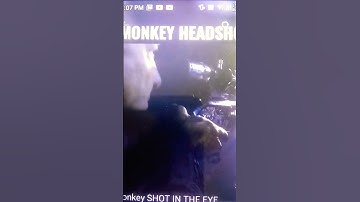 HUNTING WILD ANIMALS :-    AIR GUN @HEAD SHOT/ SHOT AT A MONKEY/Langoor.