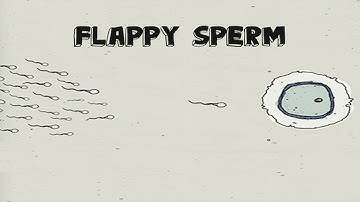 Swipe Ball | Codecanyon Scripts and Snippets