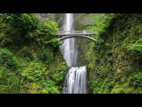 Wahkeena Falls Oregon - Walk With You the story of Dred Scott and the Blow Family by Jennifer