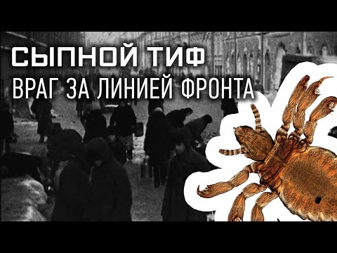 Враг за линией фронта: сыпной тиф. «Секретные материалы»