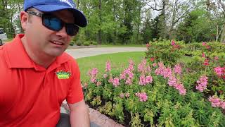 Flowerbed Drainage