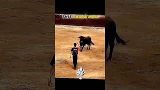 Other Bull fighting vs this sigma man🗿💀 #bullfighting #shorts #edit #viral