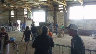 2021 - Ag Olympics