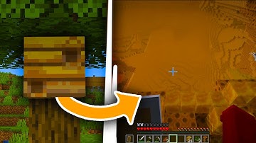 Minecraft if you could enter beehives