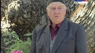 видео:  картинка: