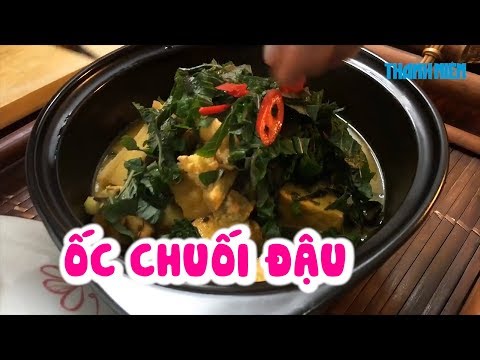 Video Nấu ốc chuối đậu cùng hot mom Trang Huyền - món Bắc... - youtube