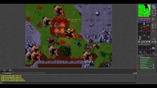 [Tibia] Noob char action in POH - 255 knight + randoms dead! Net Worth